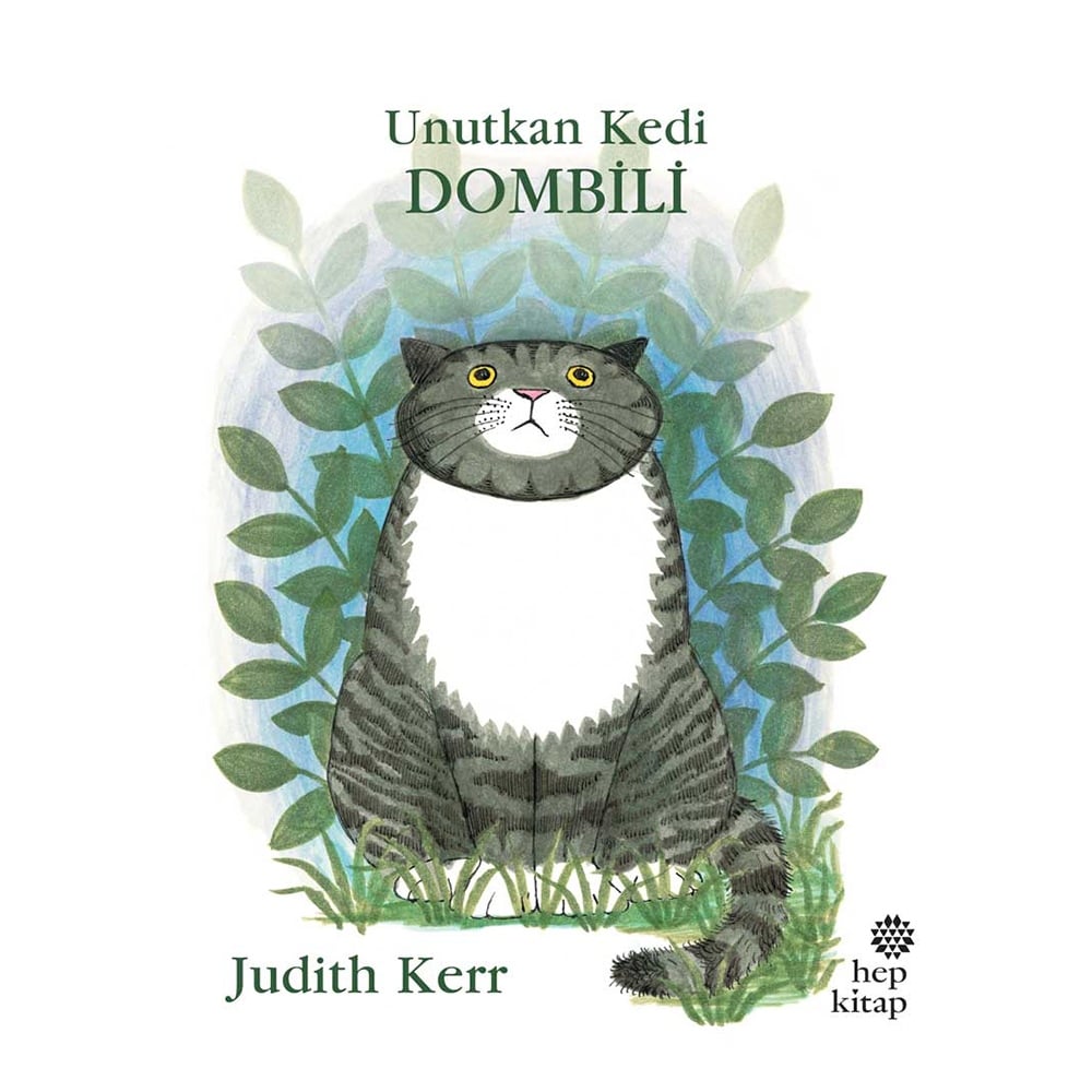 UNUTKAN KEDİ DOMBİLİ