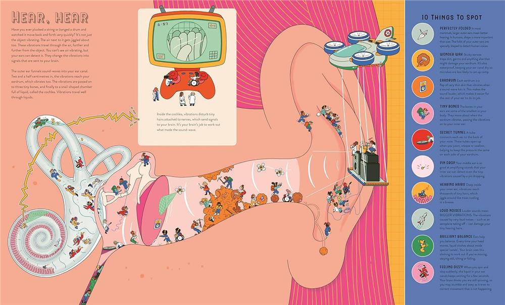 Up Close and Incredible - Human Body Çocuk Kitapları Uzmanı - Children's Books Expert