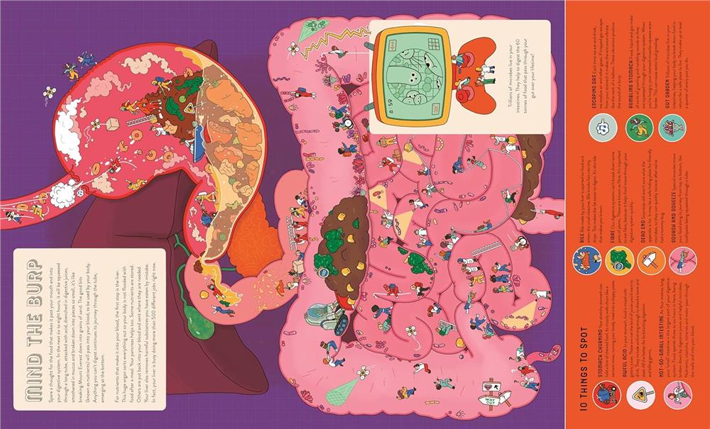 Up Close and Incredible - Human Body Çocuk Kitapları Uzmanı - Children's Books Expert