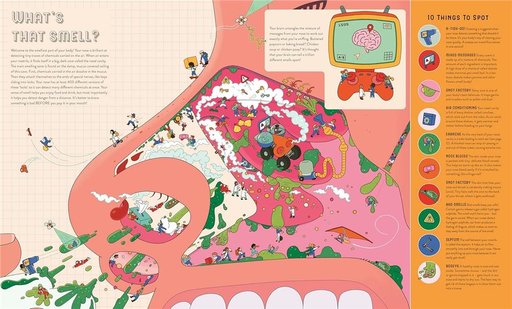 Up Close and Incredible - Human Body Çocuk Kitapları Uzmanı - Children's Books Expert