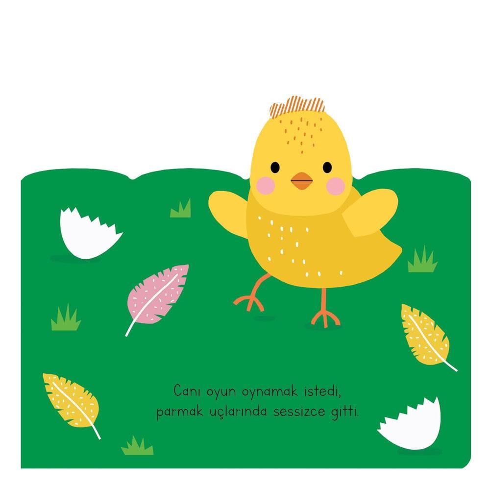 Uykusu Kaçan Minikler - Çiftlik Arkadaşları Çocuk Kitapları Uzmanı - Children's Books Expert