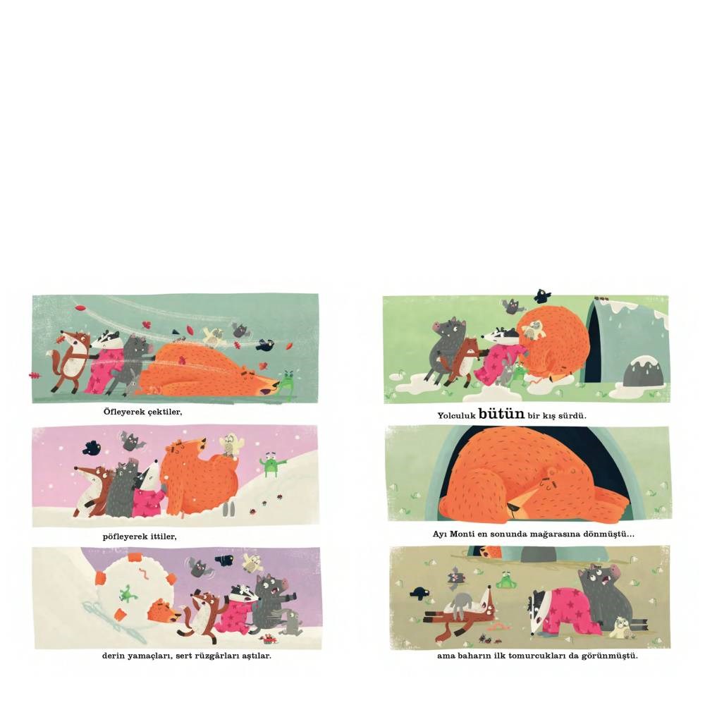 UYKUSUZ AYI MONTİ Çocuk Kitapları Uzmanı - Children's Books Expert