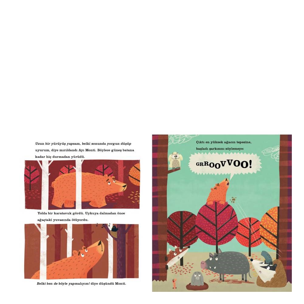 UYKUSUZ AYI MONTİ Çocuk Kitapları Uzmanı - Children's Books Expert