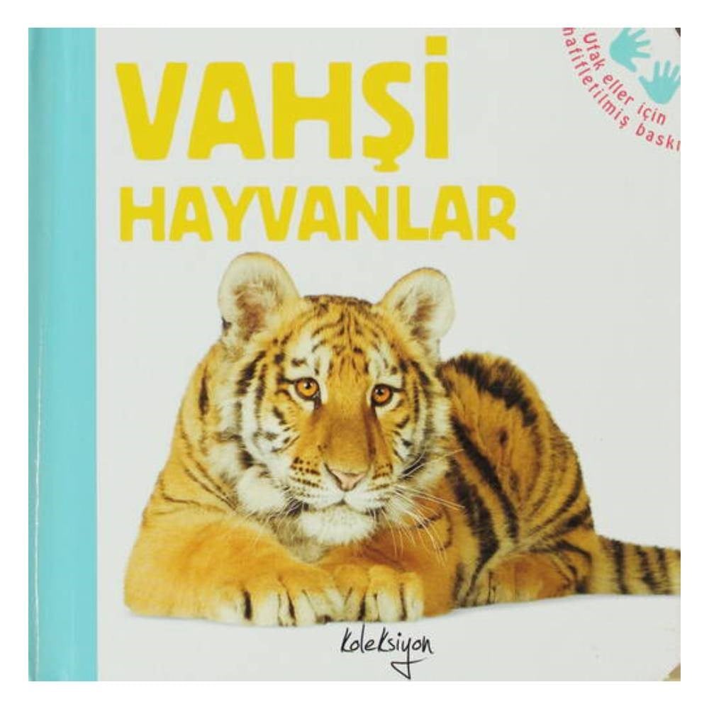 VAHŞİ HAYVANLAR Çocuk Kitapları Uzmanı - Children's Books Expert