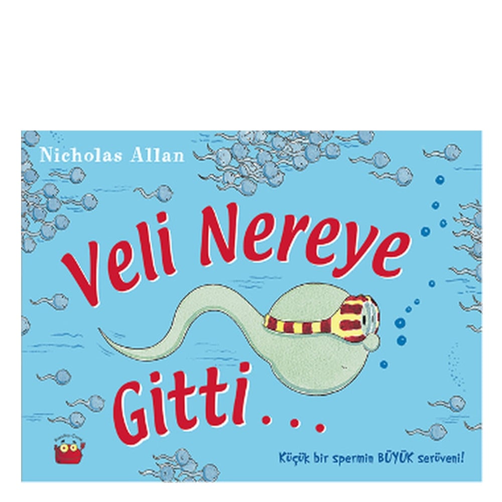 VELİ NEREYE GİTTİ