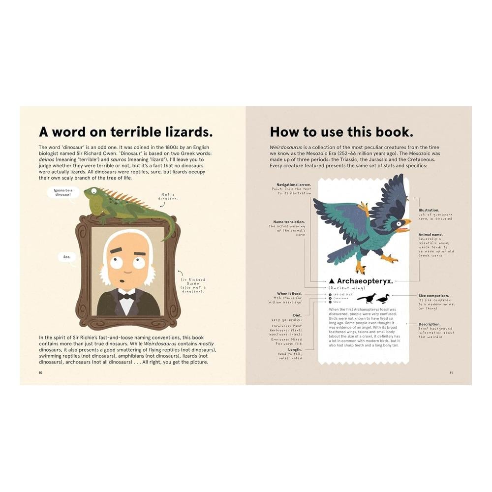 Weirdosaurus Çocuk Kitapları Uzmanı - Children's Books Expert