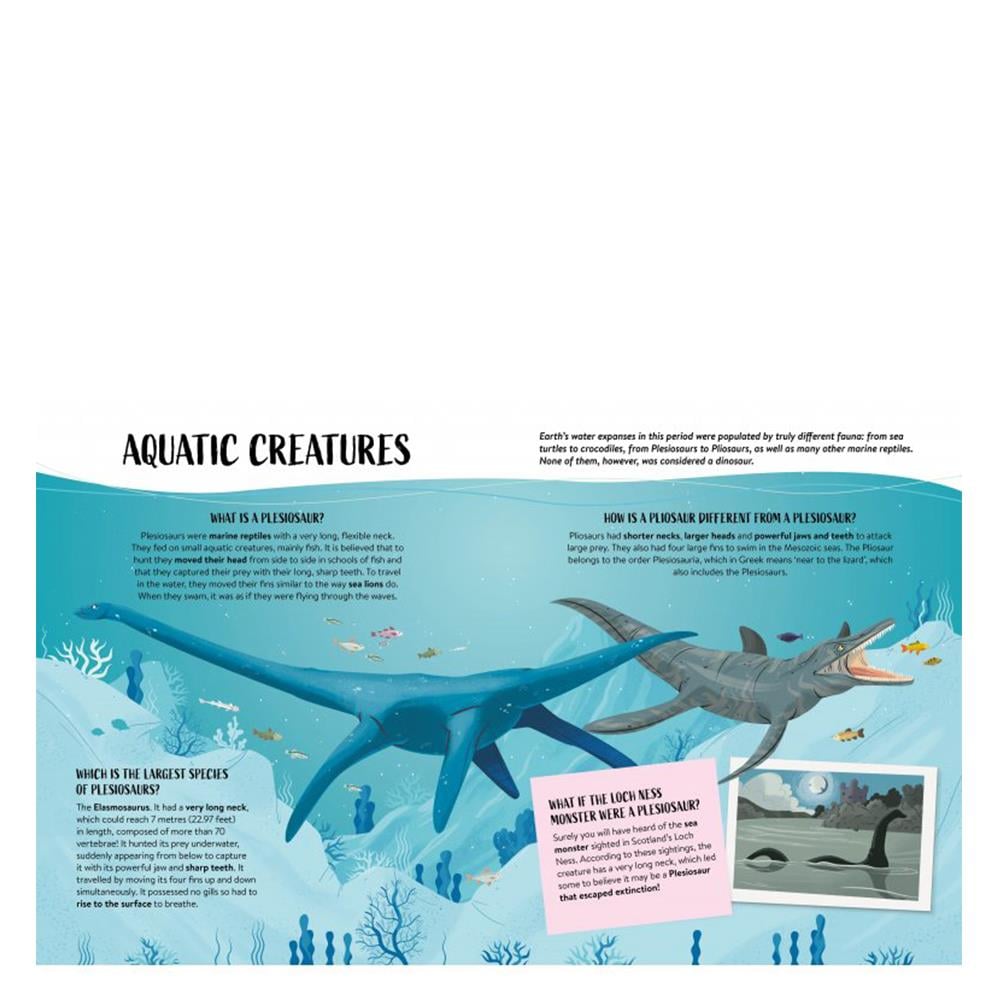 WHAT, HOW, WHY - DINOSAURS Çocuk Kitapları Uzmanı - Children's Books Expert