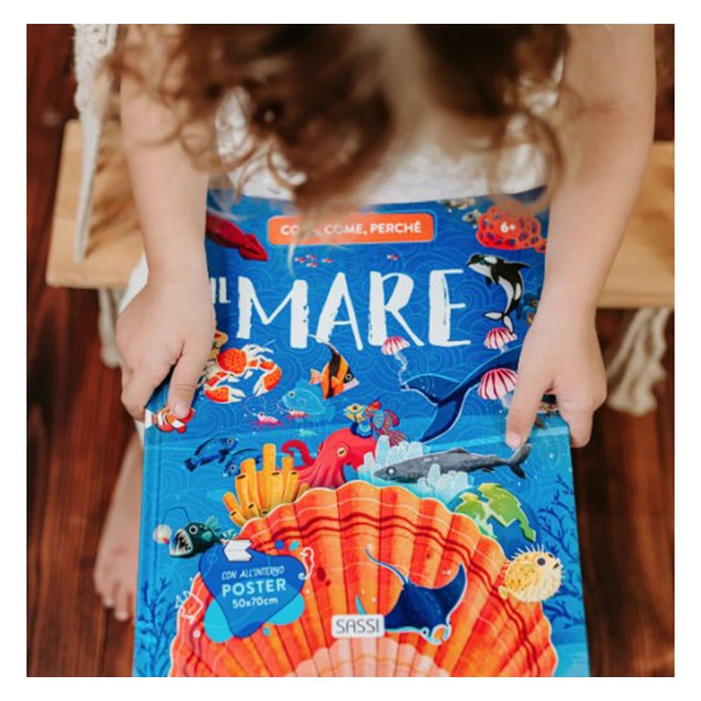 WHAT, HOW, WHY - THE SEA Çocuk Kitapları Uzmanı - Children's Books Expert