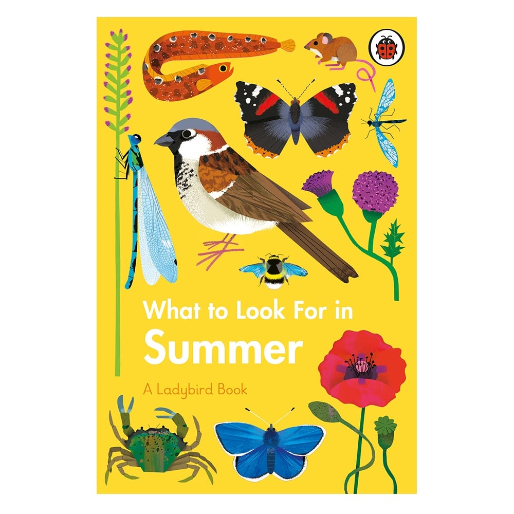 WHAT TO LOOK FOR IN SUMMER Çocuk Kitapları Uzmanı - Children's Books Expert