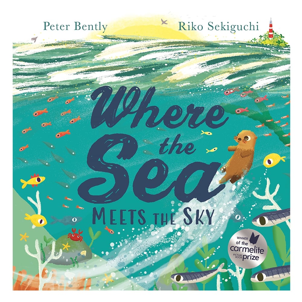 WHERE THE SEA - MEETS THE SKY Çocuk Kitapları Uzmanı - Children's Books Expert