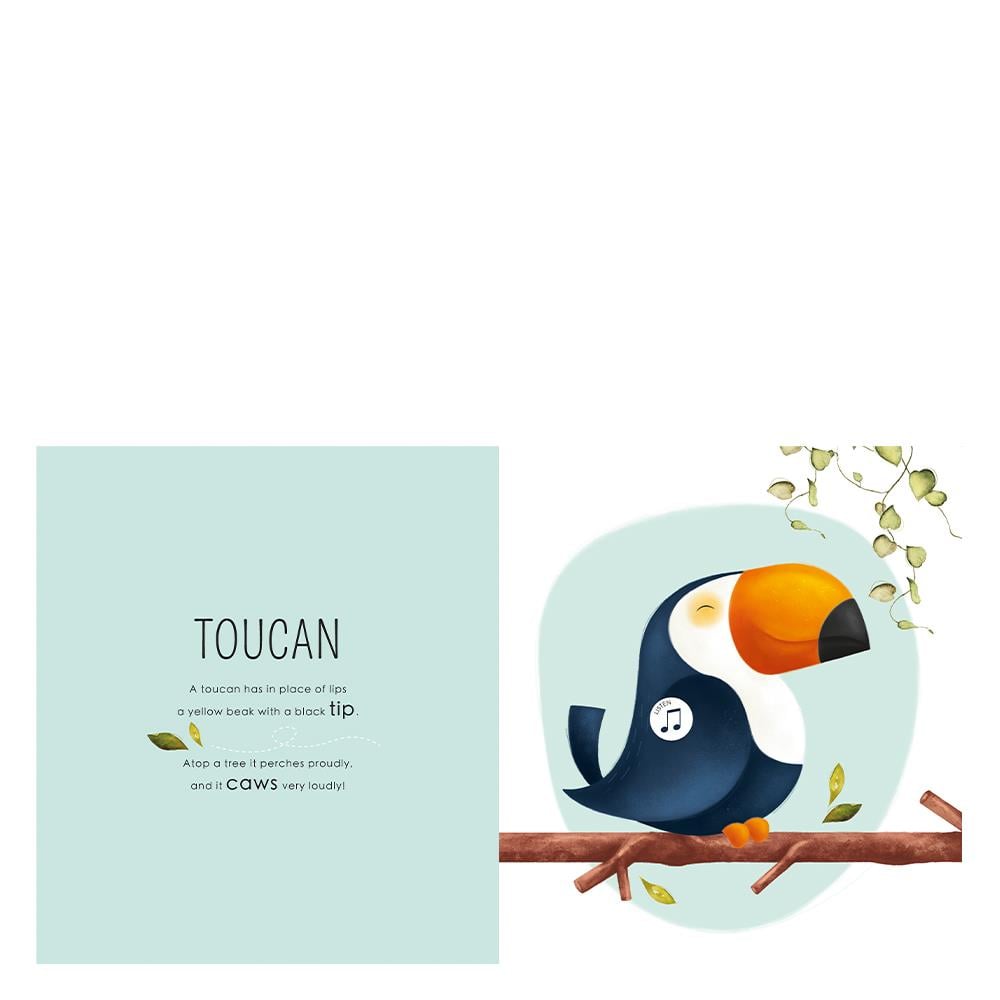 WHO LIVES IN THE JUNGLE Çocuk Kitapları Uzmanı - Children's Books Expert