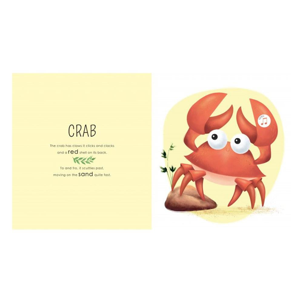 WHO LIVES IN THE SEA Çocuk Kitapları Uzmanı - Children's Books Expert