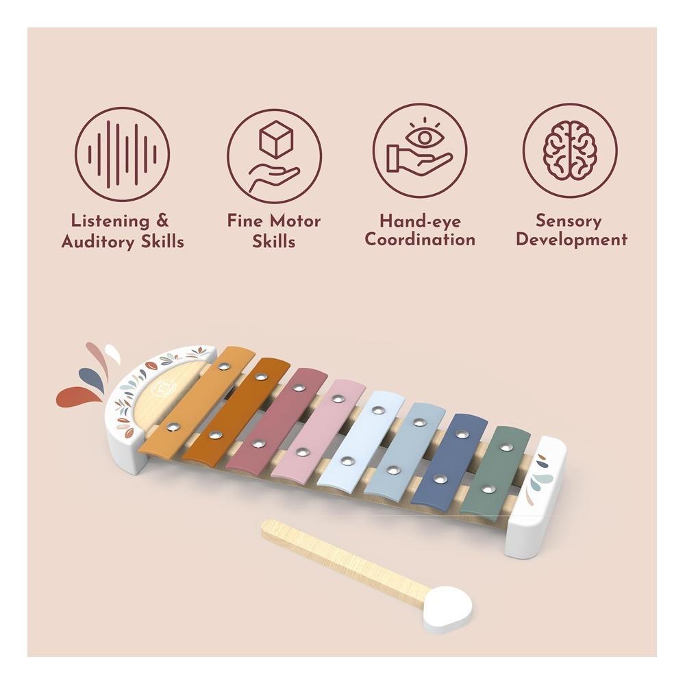 Xylophone Çocuk Kitapları Uzmanı - Children's Books Expert