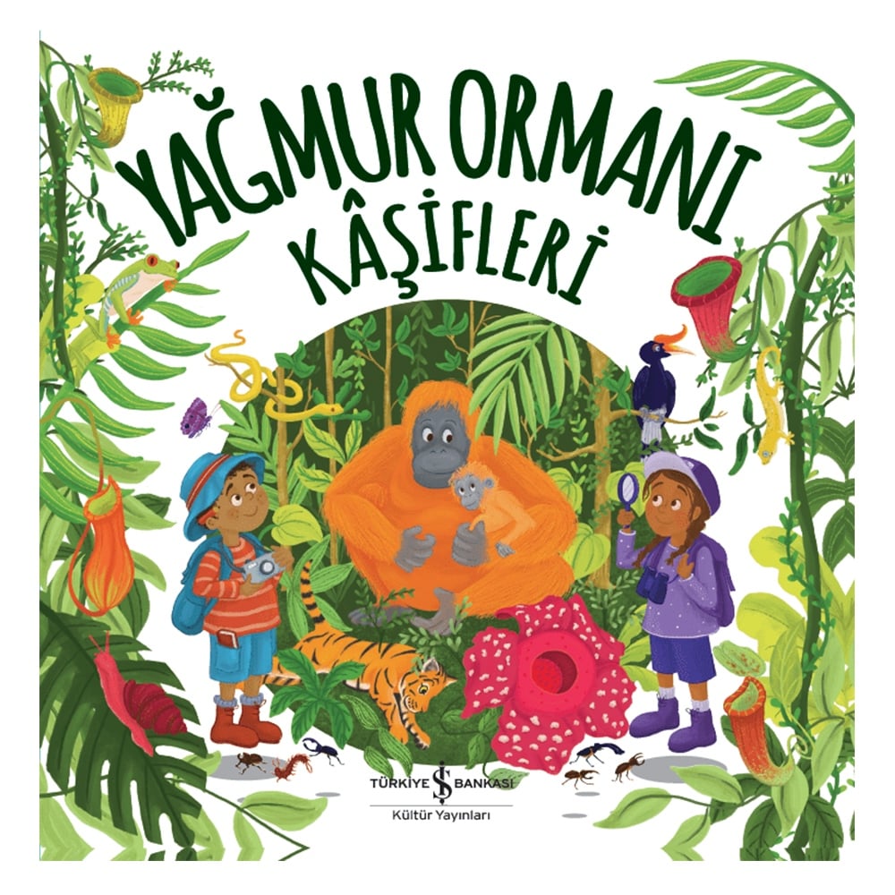 YAĞMUR ORMANI KAŞİFLERİ