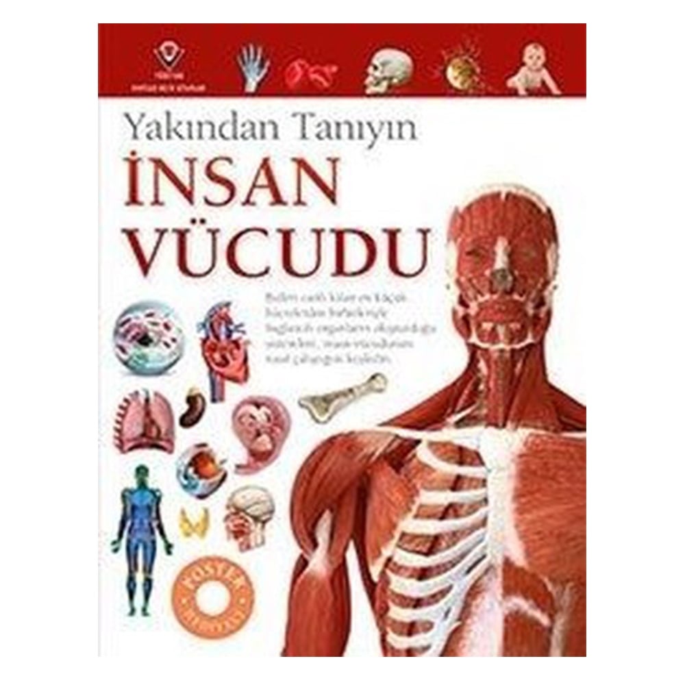YAKINDAN TANIYIN - İNSAN VÜCUDU Çocuk Kitapları Uzmanı - Children's Books Expert