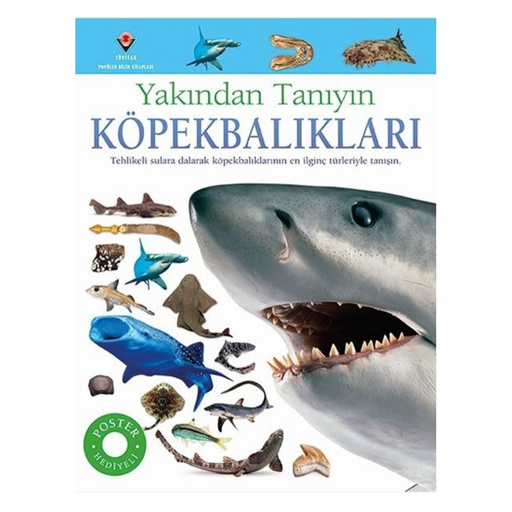 YAKINDAN TANIYIN - KÖPEKBALIKLARI Çocuk Kitapları Uzmanı - Children's Books Expert