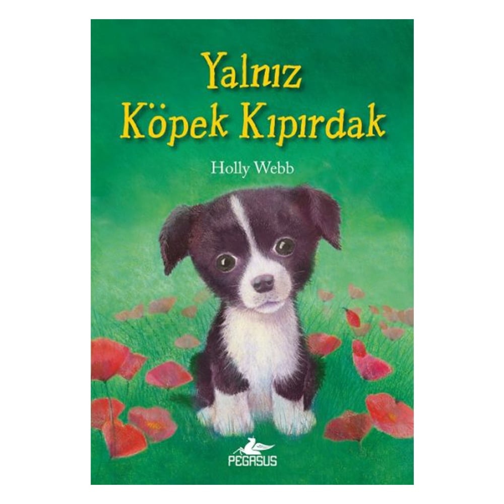 YALNIZ KÖPEK KIPIRDAK Çocuk Kitapları Uzmanı - Children's Books Expert