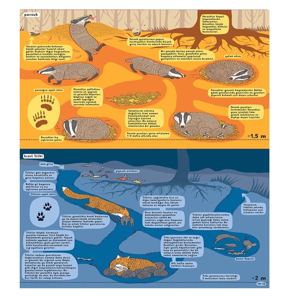 YER ALTI SU ALTI Çocuk Kitapları Uzmanı - Children's Books Expert