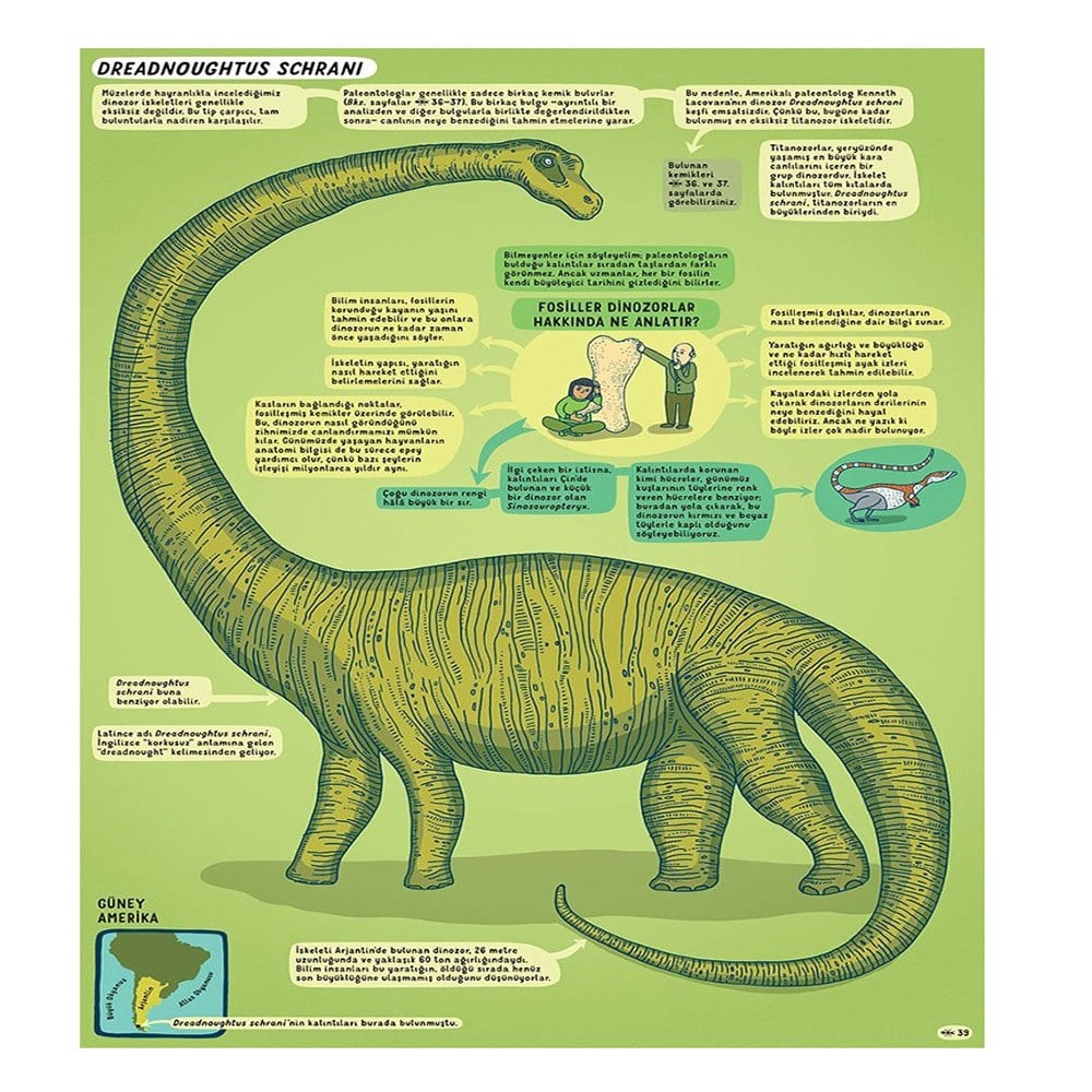 YER ALTI SU ALTI Çocuk Kitapları Uzmanı - Children's Books Expert