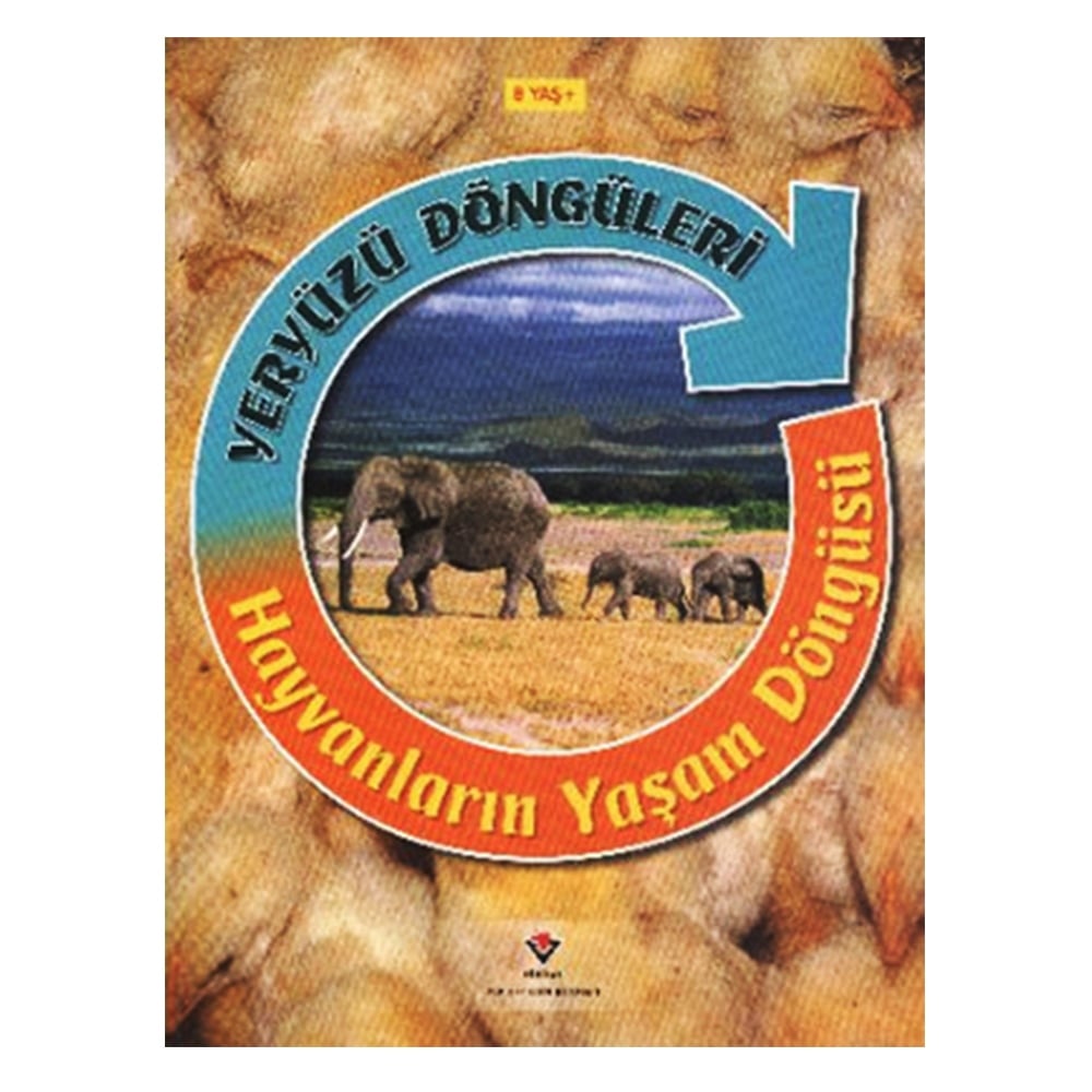 YERYÜZÜ DÖNGÜLERİ- HAYVANLARIN YAŞAM DÖNGÜSÜ Çocuk Kitapları Uzmanı - Children's Books Expert