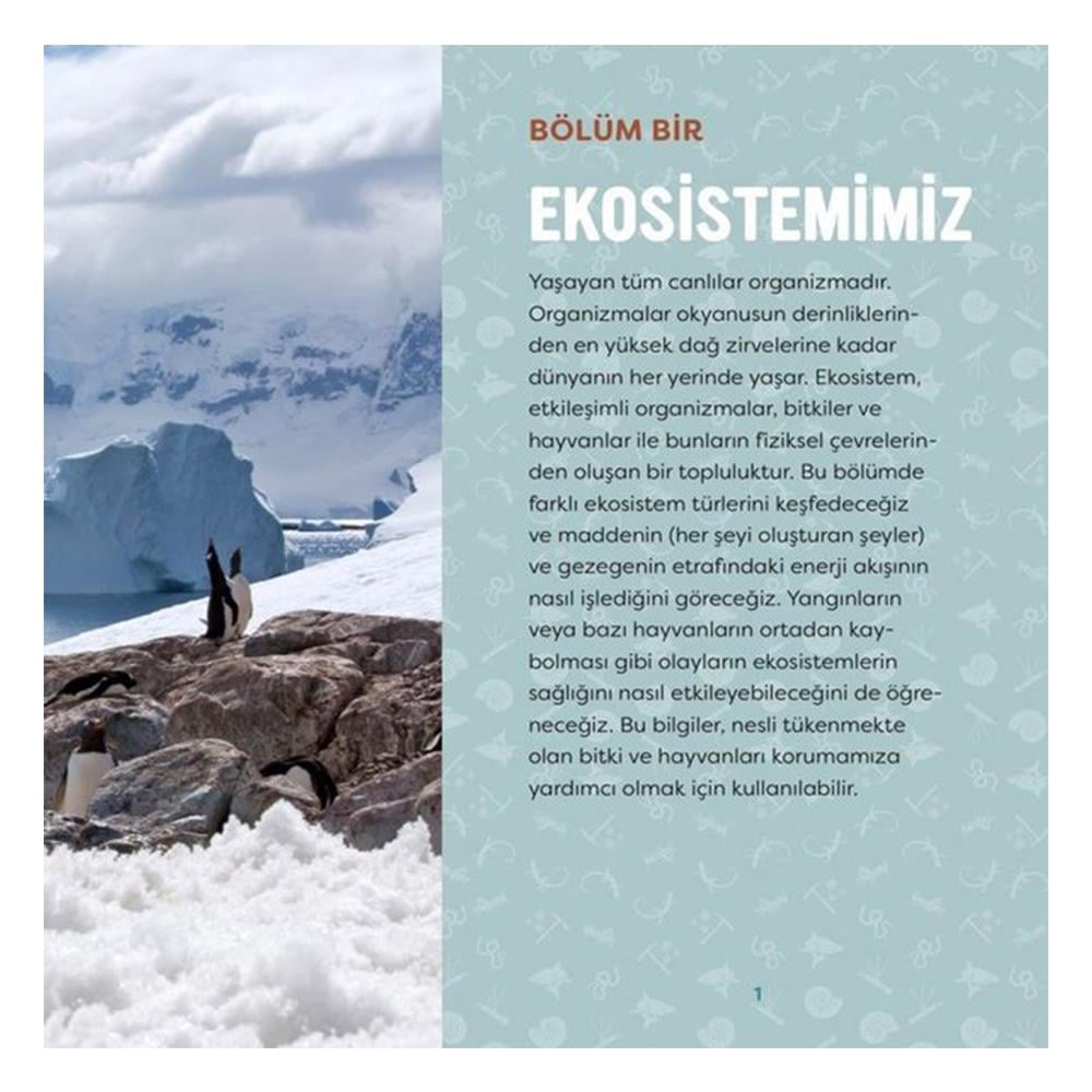YERYÜZÜ - GENÇ BİR BİLİM İNSANI İÇİN KILAVUZ Çocuk Kitapları Uzmanı - Children's Books Expert