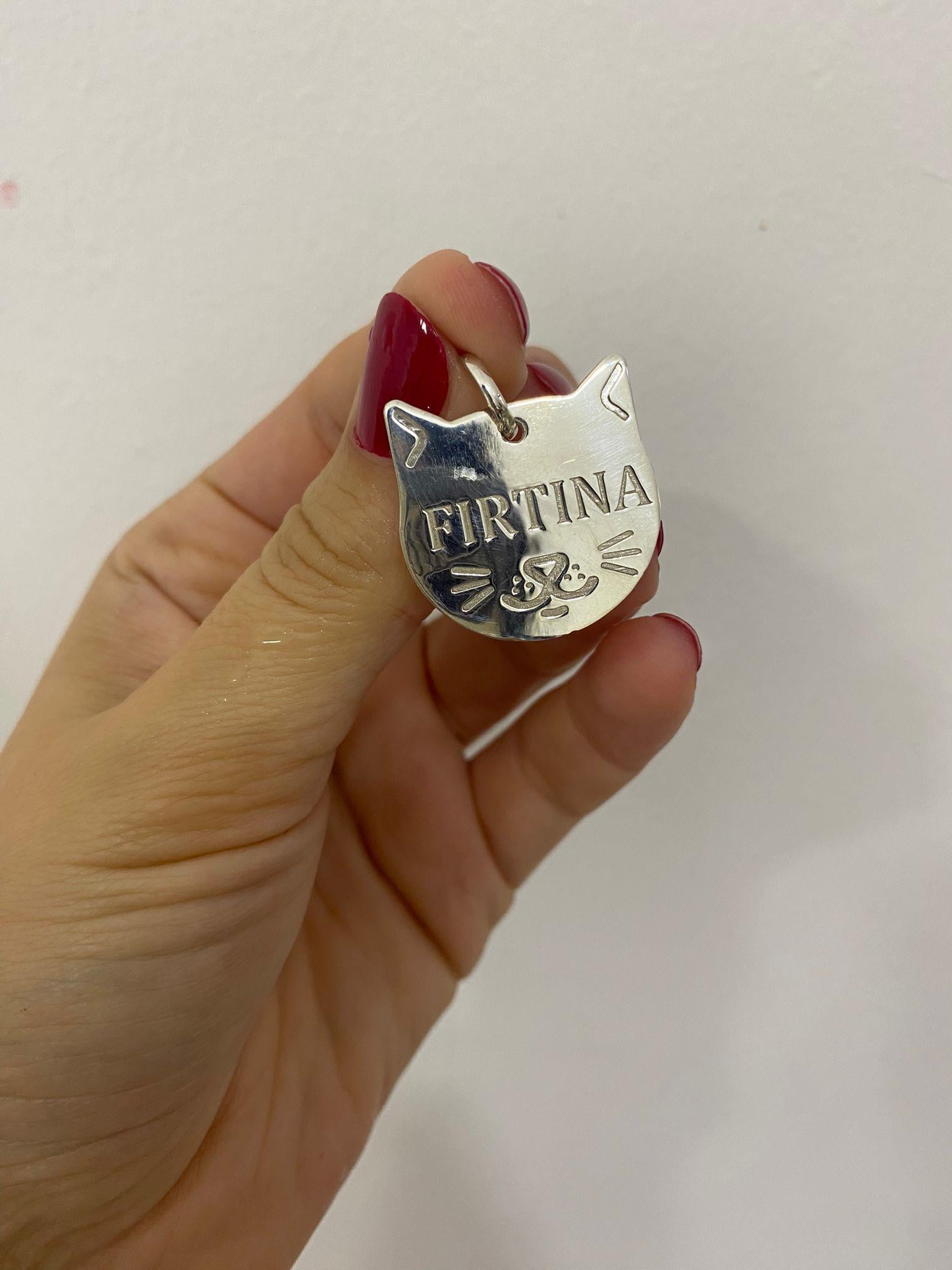 Gümüş Evcil Hayvan İsimliği