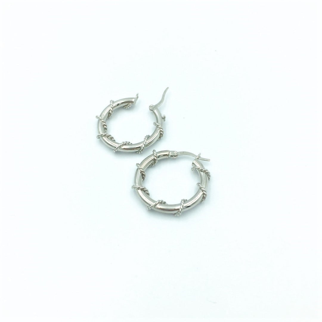 Halka Küpe(çapı 2,5 cm)