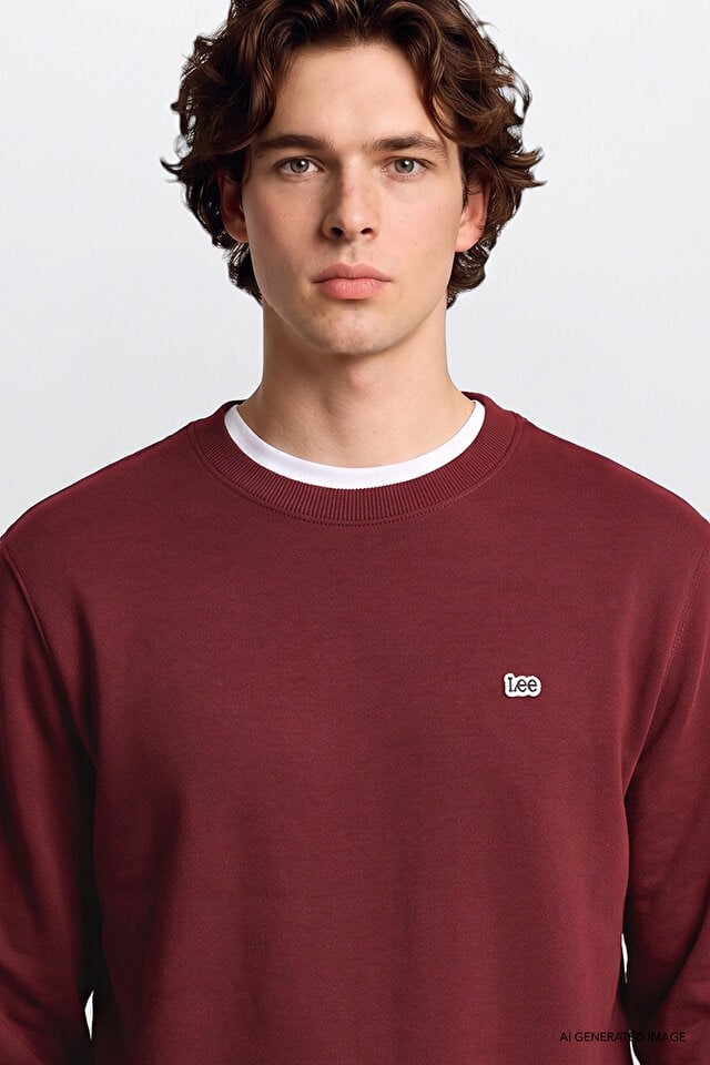 Lee Erkek L82IRYA84 Bisiklet Yaka Sweatshirt/Port Standart