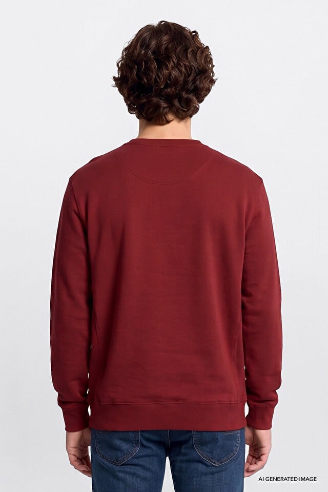Lee Erkek L82IRYA84 Bisiklet Yaka Sweatshirt/Port Standart