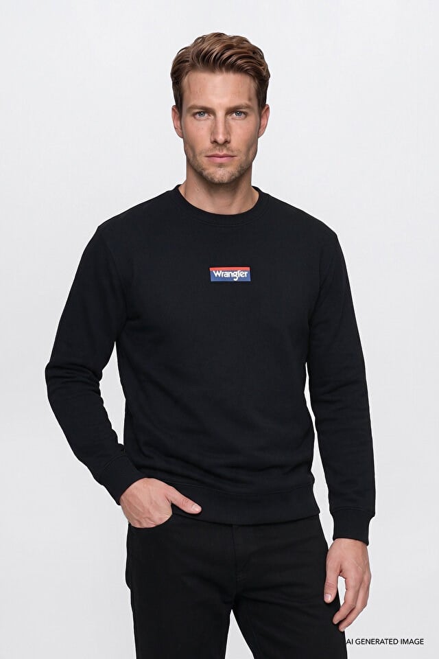 Wrangler Erkek W2620152001 Mid Logo Hoodie Sweatshirt/Black Siyah
