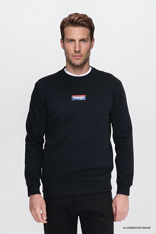 Wrangler Erkek W2620152001 Mid Logo Hoodie Sweatshirt/Black Siyah