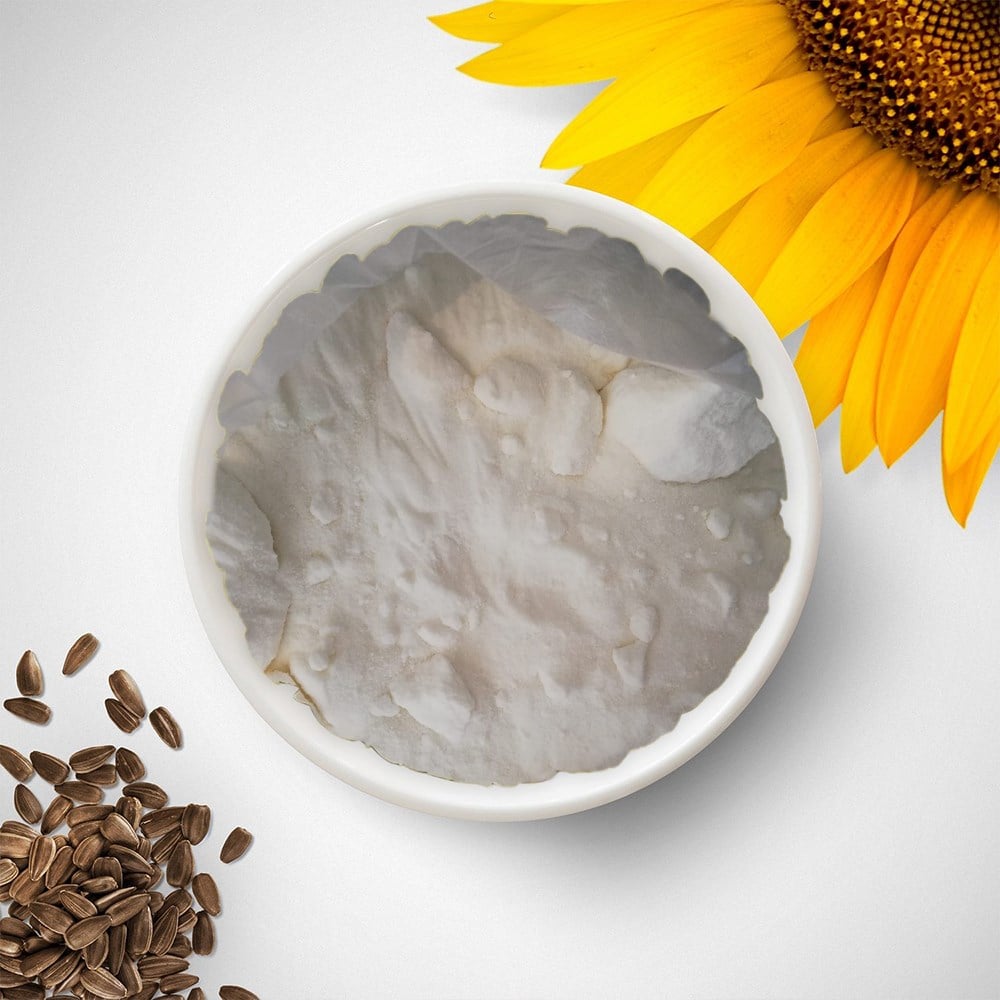 Ayçiçek Tohumu Mumu