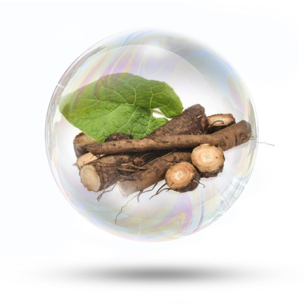 Dulavrat Otu Özü (Suda Çözünür)