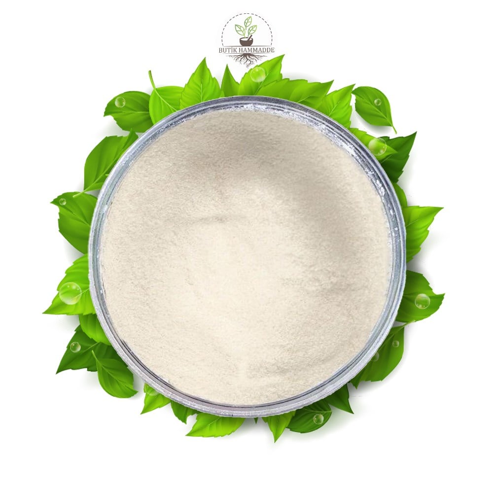 Gam Arabic (Arap Zamkı)