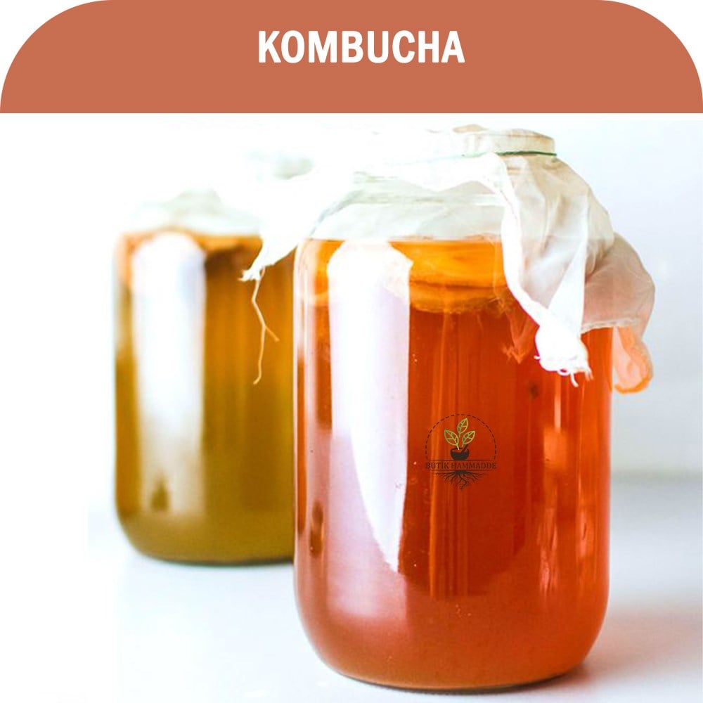 Kombucha Aktifi