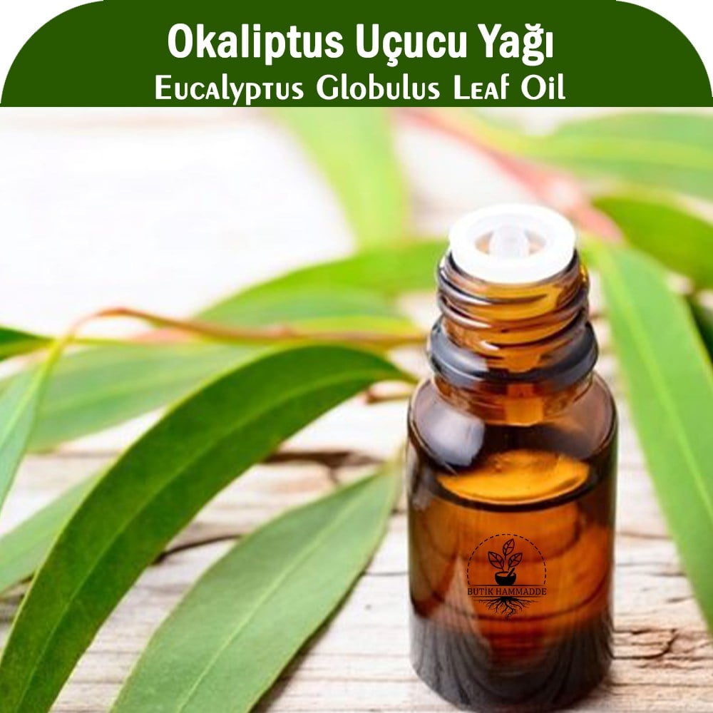 Okaliptus Uçucu Yağı