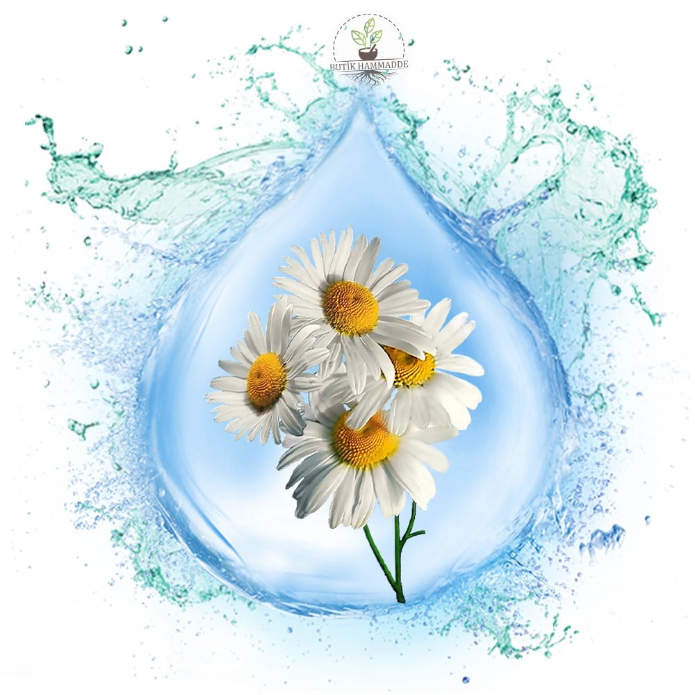 Papatya Suyu (Alman)