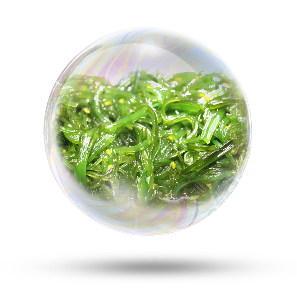 Spirulina Özü (Suda Çözünür)