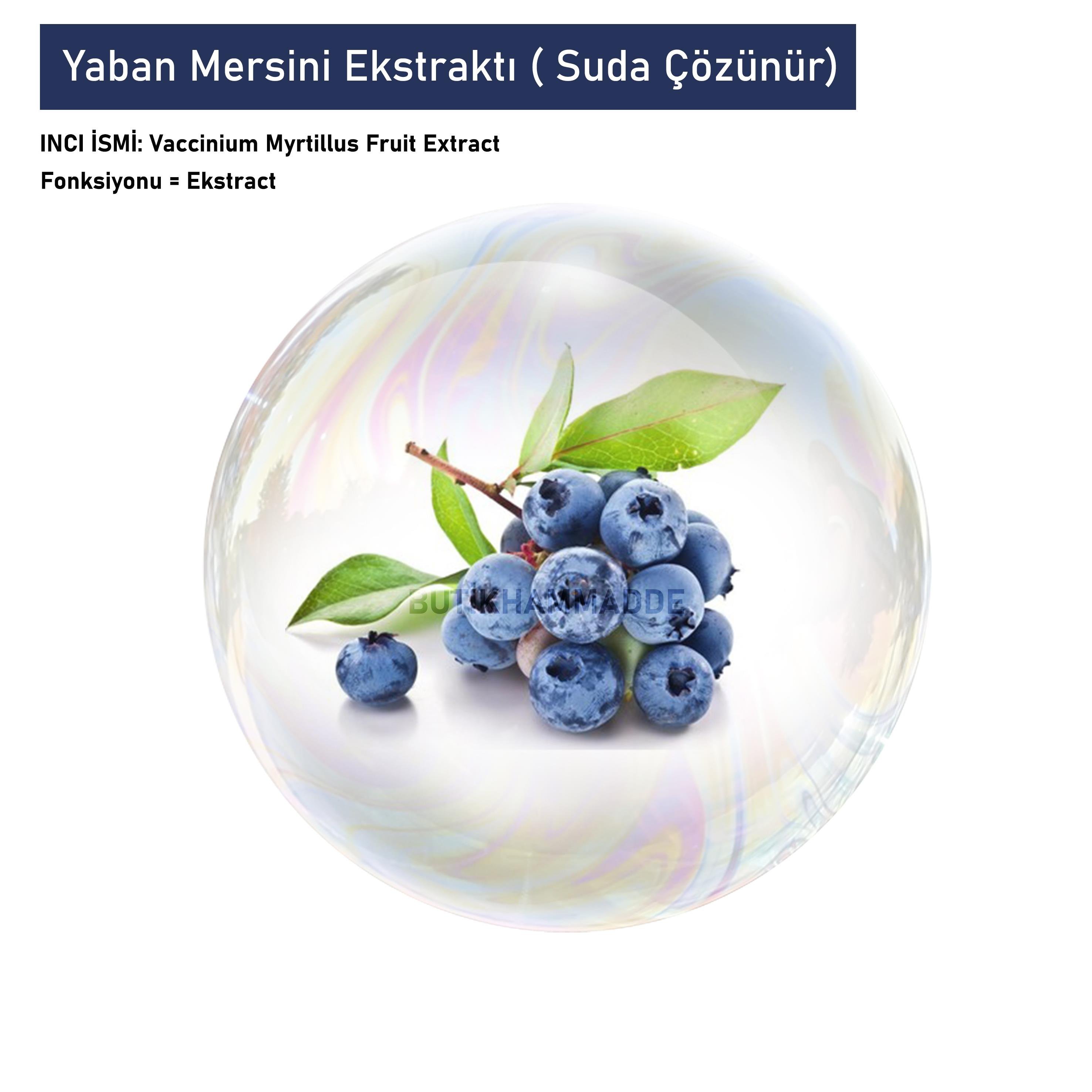 Yaban Mersini Ekstraktı ( Suda Çözünür)