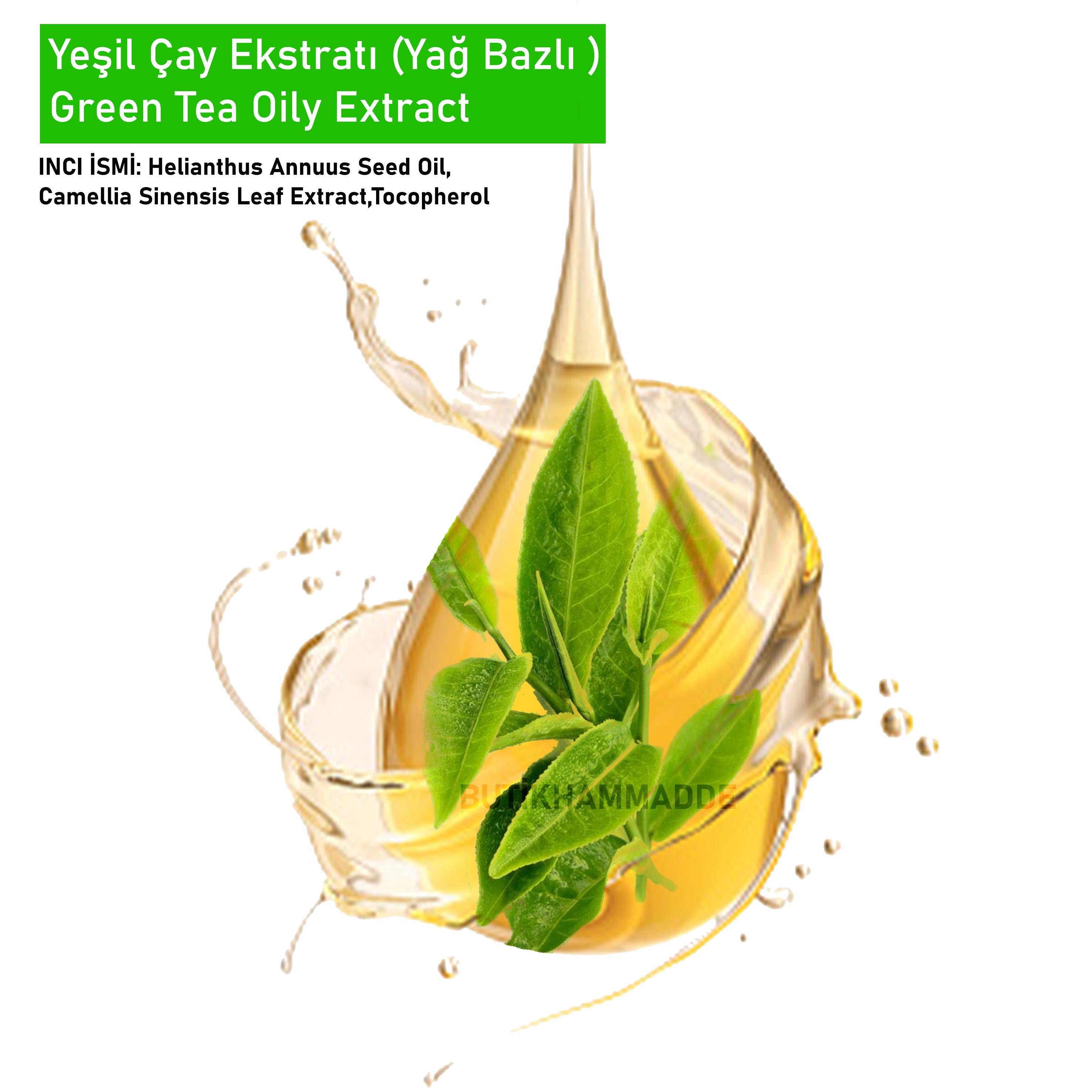 Yeşil Çay Ekstratı Yağ Bazlı – Green Tea  Oily Extract
