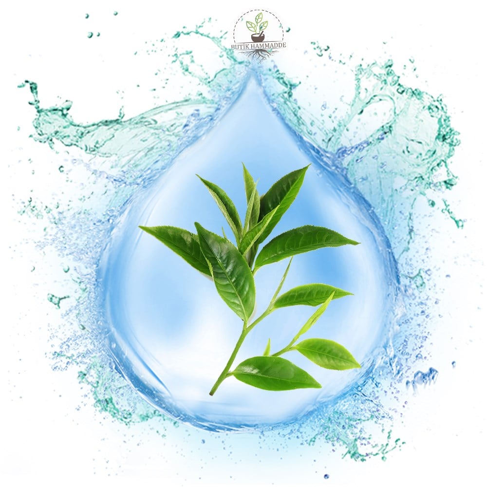 Yeşil Çay Suyu