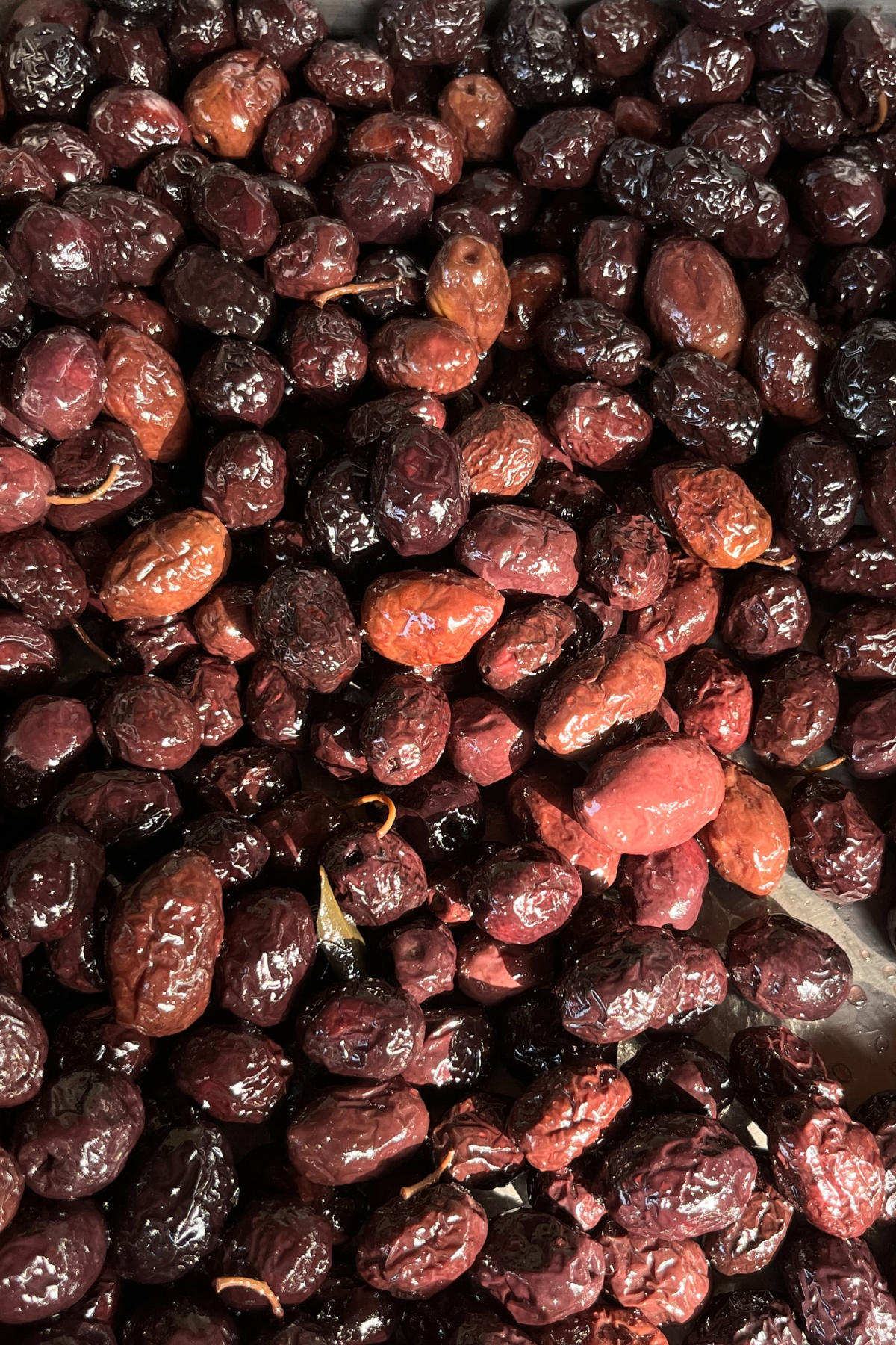 Torlak Çiftliği Siyah Zeytin