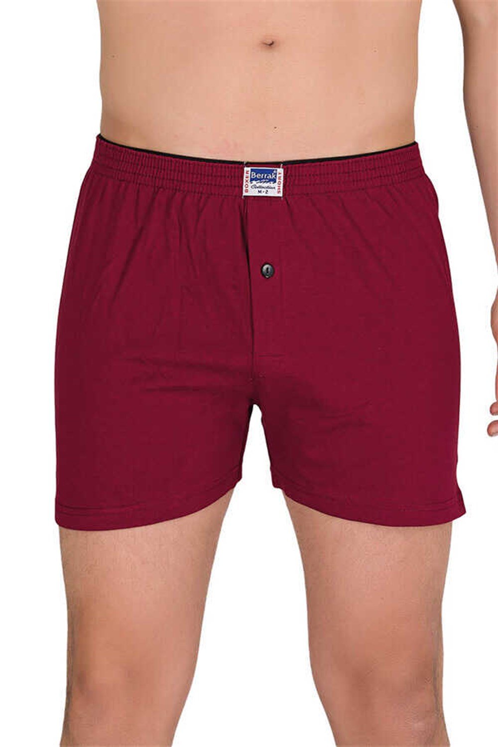 BERRAK 1099 ERKEK RENKLİ BOXER