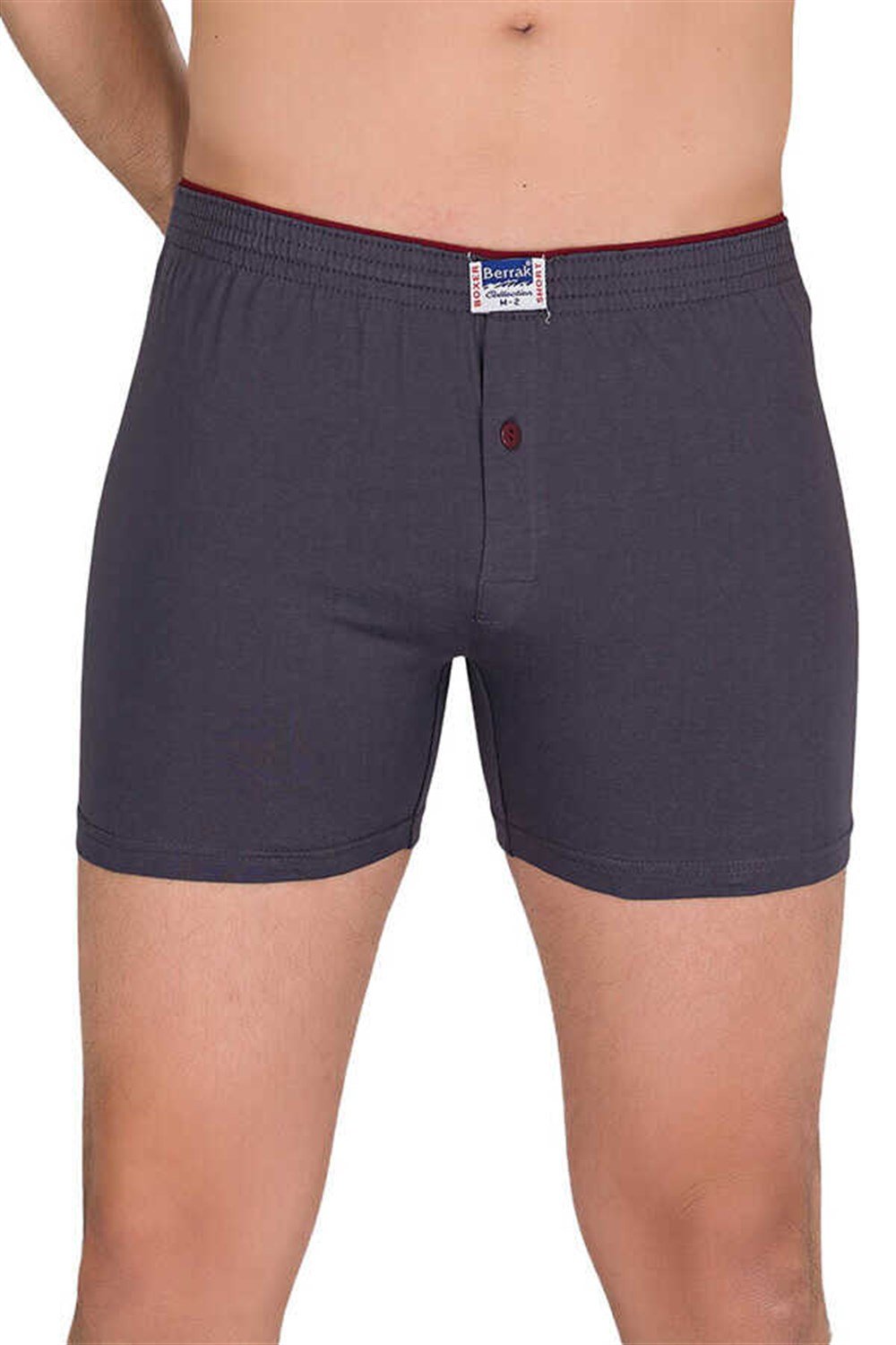 BERRAK 1099 ERKEK RENKLİ BOXER