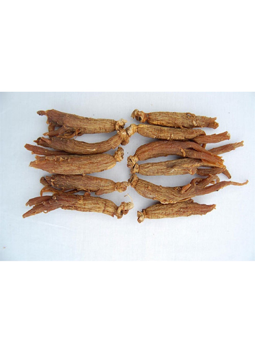 Kök Ginseng