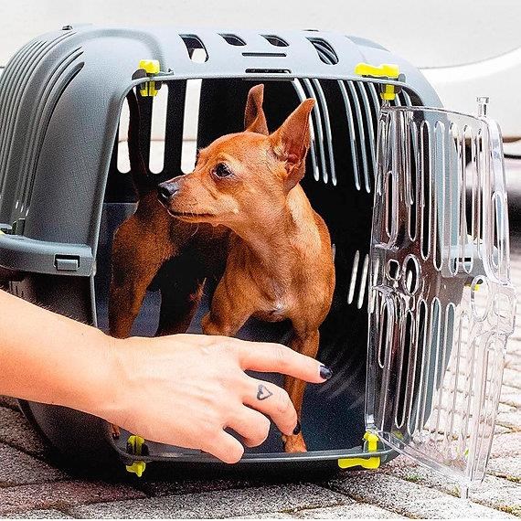 Ferplast Jet 20 Kedi ve Köpek Taşıma Çantası Gri