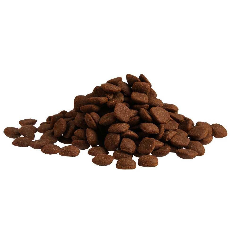 Fitmin For Life Adult Large Breed Yetişkin Büyük Irk Köpek Maması 12 Kg