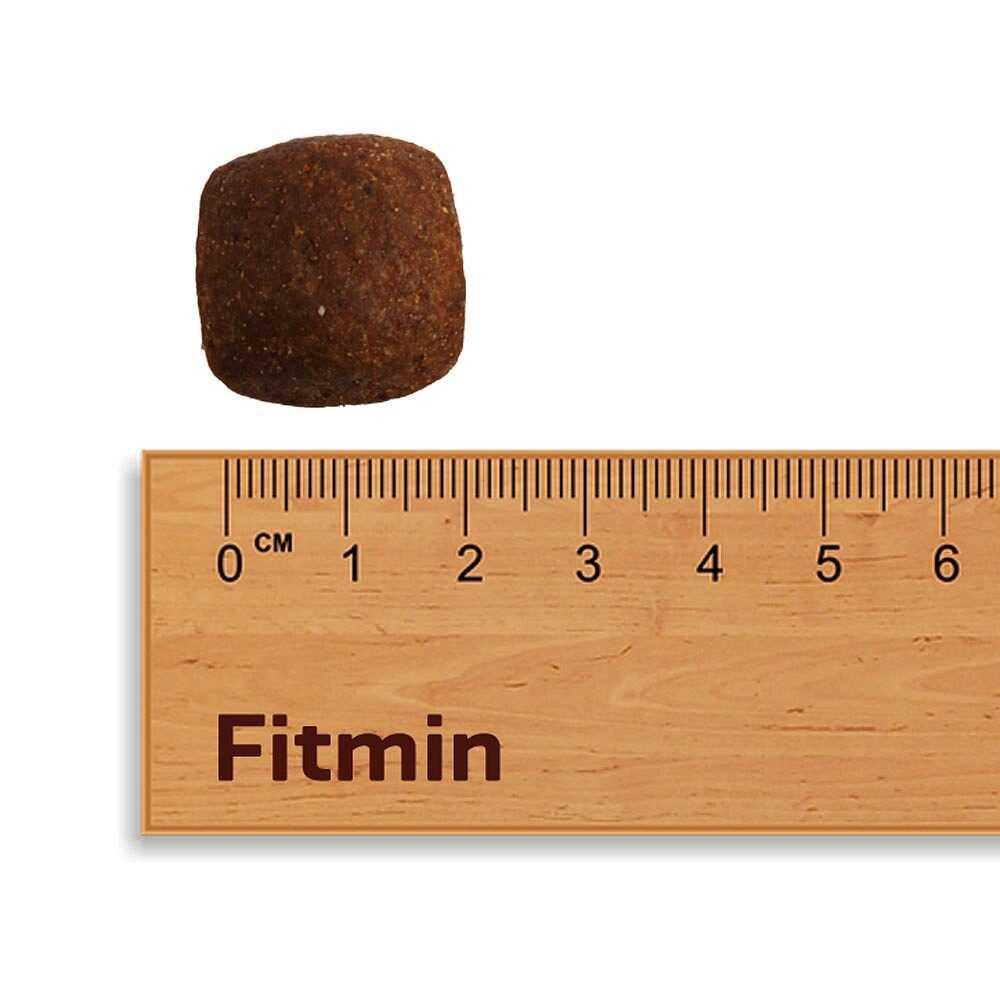Fitmin For Life Adult Large Breed Yetişkin Büyük Irk Köpek Maması 12 Kg