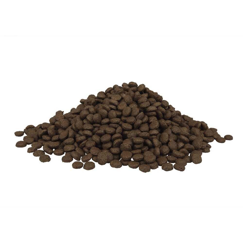 Fitmin For Life Kitten Taze Tavuk Etli Yavru Kedi Maması 1,8 Kg