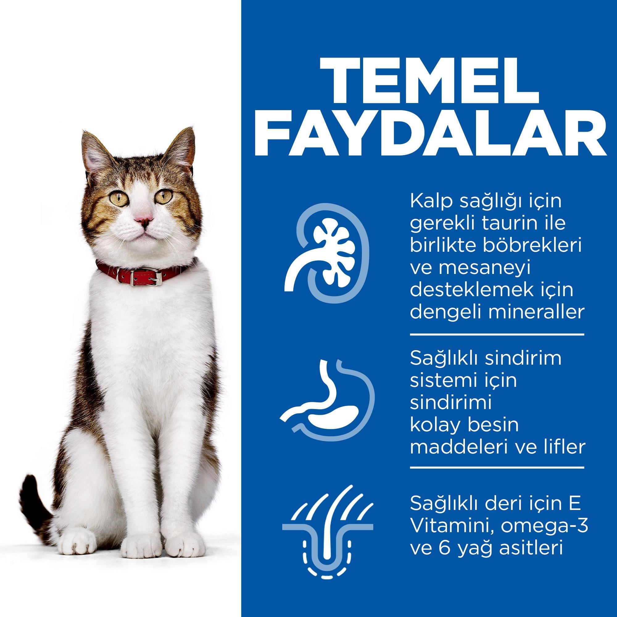 Hill's SCIENCE PLAN +7 Tavuklu Yaşlı Kedi Maması 1,5 Kg